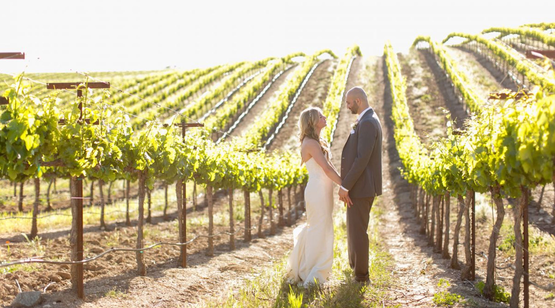 Villa San-Juliette Paso Robles Winery Vineyard Wedding